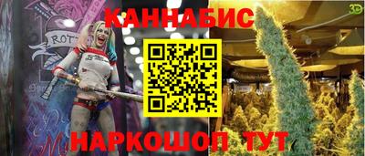 дурь Сланцы