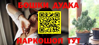 дурь Сланцы